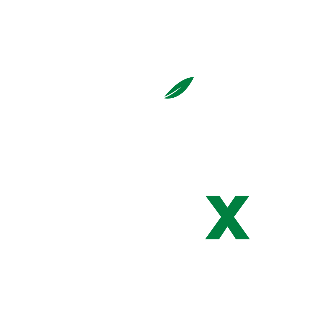 OliveX